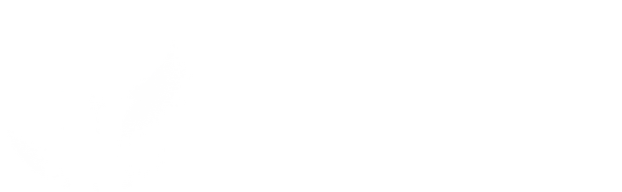 white logo displaying a fountain pen, reads 'zapisane na murach'